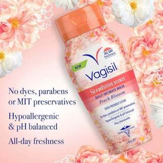(Hỏa tốc) Bộ Sưu Tập Dung Dịch Vệ Sinh Phụ Nữ Vagisil Hương Hoa Quả, Kiểm Soát Mùi 24h, Cân Bằng pH