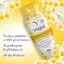 Bộ Sưu Tập Gel Vệ Sinh Phụ Nữ Vagisil Hương Hoa Quả, Kiểm Soát Mùi 24h, Cân Bằng pH