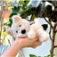 BLIND BOX Hộp Túi Mù gấu bông mini các loại Động Vật Rừng Cho Trẻ Nhỏ Có Móc Khóa