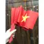 Cờ Đỏ Sao Vàng 30/4 1/5 - Cờ Tổ Quốc Cầm Tay Và Để Bàn Trang Trí Lễ Giải Phóng (Chọn Loại) | Tiến Bóng Bay