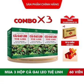 ✅Cà Gai Leo Tuệ Linh [ MUA 3 Cà gai leo TẶNG 1 Hộp Bổ não Pharhamaxe G2 ] - COMBO 3 Hộp 60v
