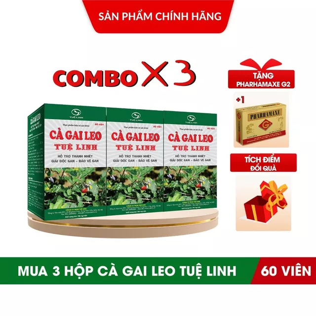 ✅Cà Gai Leo Tuệ Linh [ MUA 3 Cà gai leo TẶNG 1 Hộp Bổ não Pharhamaxe G2 ] - COMBO 3 Hộp 60v