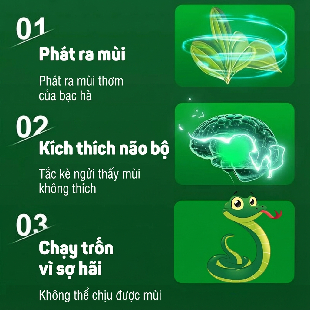 🐍 Ngăn rắn 365 ngày! 🐍 Viên xua rắn, bột xua rắn, thuốc xua rắn từ thảo dược, đặt bảo vệ, chịu mưa, kèm túi lưới