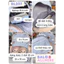 BaLo (XINHXINH) [ORDER] Balo Nữ Đi Học Xinh BL237