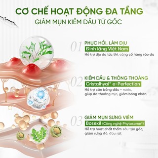 [Serum Giảm Mụn Và Kiểm Soát Dầu] DAILY EFFECT Phytosome Pore - Refining Serum (15g)