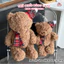 Gấu bông Teddy thắt nơ caro đỏ dễ thương – Gấu bông cao cấp mềm mịn quà tặng
