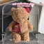 Gấu bông Teddy thắt nơ caro đỏ dễ thương – Gấu bông cao cấp mềm mịn quà tặng