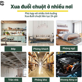 🐭 1000 NĂM KHÔNG CÒN CHUỘT 🐭 Hộp gel đuổi chuột  Hộp đuổi chuột