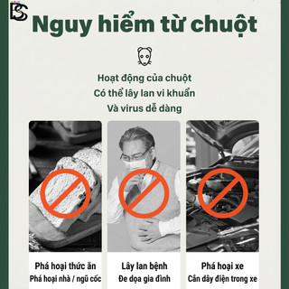🐭 1000 NĂM KHÔNG CÒN CHUỘT 🐭 Hộp gel đuổi chuột  Hộp đuổi chuột