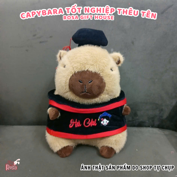 Gấu Bông Tốt Nghiệp Cao Cấp – Thú Nhồi Bông Mũ Cử Nhân Siêu Cute, Quà Tặng Hot Trend 35 CM - ROSA GIFT HOUSE