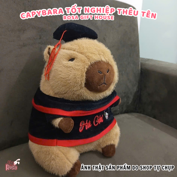 Gấu Bông Tốt Nghiệp Cao Cấp – Thú Nhồi Bông Mũ Cử Nhân Siêu Cute, Quà Tặng Hot Trend 35 CM - ROSA GIFT HOUSE