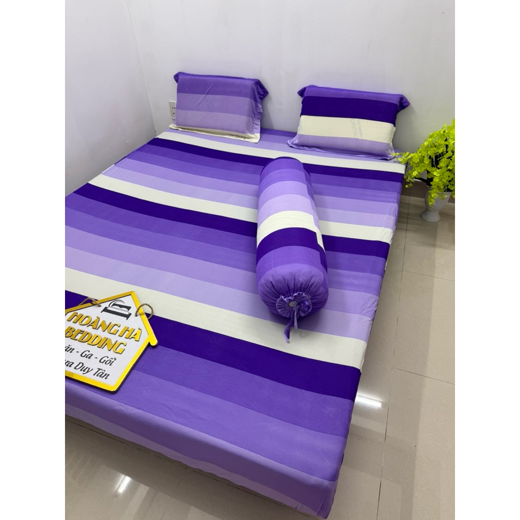 bộ ga thun lạnh 4 món mẫu sọc tím