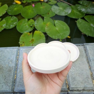 ​✨ Dĩa Lót Chậu Đất Nung Trắng Cao Cấp [Size 9cm] - Decor Sang Trọng - MẦM NẮNG GARDEN ✨