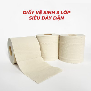 Giấy vệ sinh Silkwell gấu trúc 10 cuộn 3 lớp có lõi, không chất tẩy trắng, an toàn hàng chính hãng