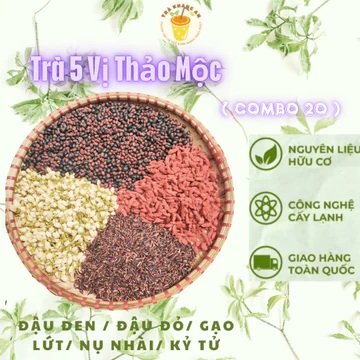 Combo 20 gói Trà 5 Vị Thảo Mộc Gạo Lứt , Trà Thảo Mộc Dưỡng Nhan Đẹp Da, Chống Lão Hóa, An Thần Dễ Ngủ