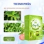 Trà Lá Ổi Trà Búp Ổi Non Hộp 60 Túi Lọc