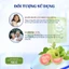Trà Búp Ổi Hộp 60 Túi Lọc Trà Hỗ Trợ Cải Thiện Hệ Tiêu Hóa Chống Tiểu Đường