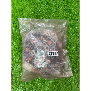 Cuộn lựa gắn xe máy tay ga atila cao cấp chất lượng