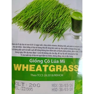 Hạt Giống Cỏ Lúa Mì Wheatgrass ( gói 20gr), Rau Ăn Lá Rạng Đông, Hạt Nảy Mầm Nhanh, Mạnh