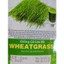 Hạt Giống Cỏ Lúa Mì Wheatgrass ( gói 20gr), Rau Ăn Lá Rạng Đông, Hạt Nảy Mầm Nhanh, Mạnh