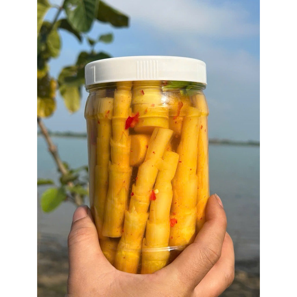 2 Hộp Măng Trúc - Chua Cay Ngọt - Đường + Muối + Ớt ( lóng + đọt ) 1kg8 - 2kg
