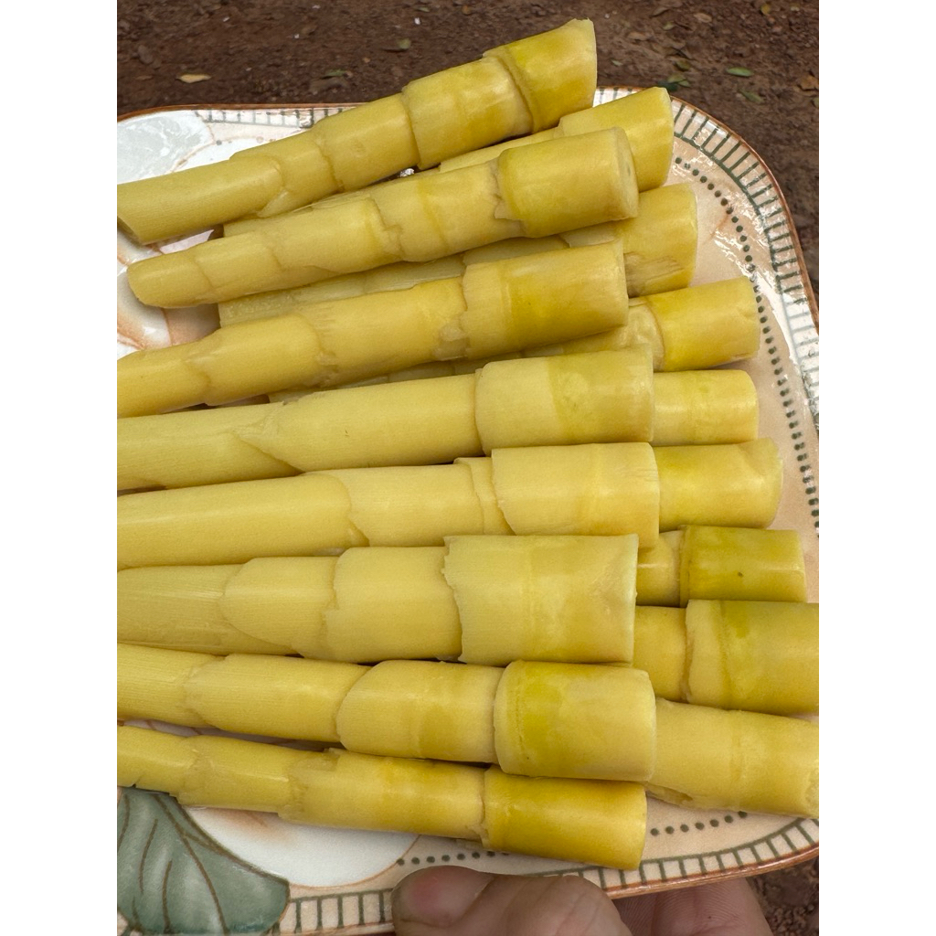1kg Đọt Măng Trúc Ngọt - Luộc Hút Chân Không