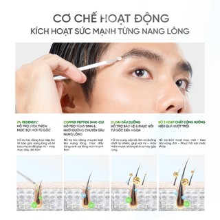 [Combo 2 Tinh Chất Làm Dày Và Dài Mi - Mày] DAILY EFFECT Growth Peptide Lash & Brow Serum (5g + 5g)