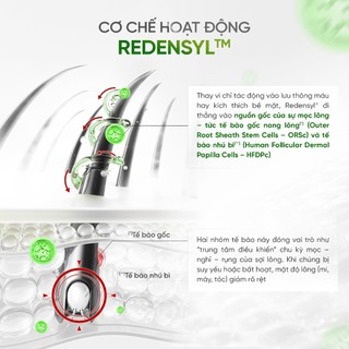 [Combo 2 Tinh Chất Làm Dày Và Dài Mi - Mày] DAILY EFFECT Growth Peptide Lash & Brow Serum (5g + 5g)