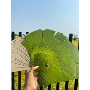 100 Hộp giấy gói bánh ít lá gai