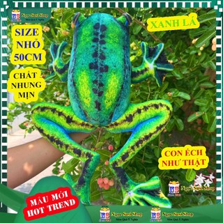 Thú bông ẾCH XANH 3D như thật rất đẹp - dùng làm quà tặng trang trí đồ chơi doll toy NGỌC SUSI