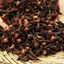 Nụ đinh hương khô loại 1 thơm ngon dùng làm trà nấu ăn hãm nước tốt cho sức khoẻ sản phẩm tự nhiên