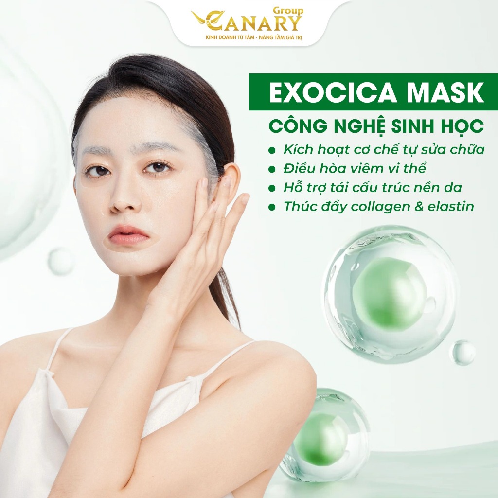 Mặt nạ rau má Exocica Woong Hye, cấp ẩm, làm dịu da, phù hợp da yếu da nhạy cảm 28g - EXOCICA MASK