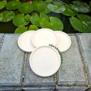 ​✨ [Mẫu Đại] Sen Đá Mix Yêu Thương Size 12x7cm - Trồng Sẵn Chậu Thiết Kế - Quà Tặng Sang Trọng - MẦM NẮNG GARDEN ✨