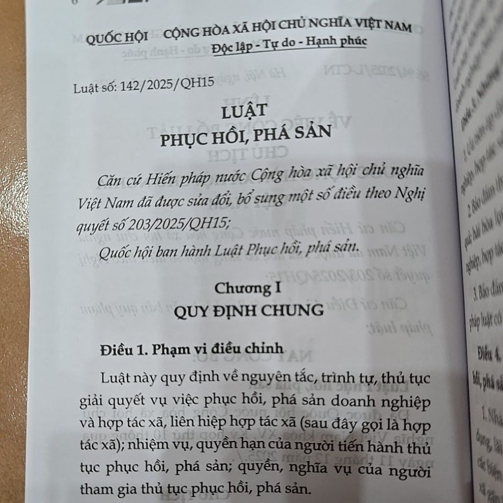 Sách - Luật phục hồi phá sản năm 2025 (NXB Lao động)