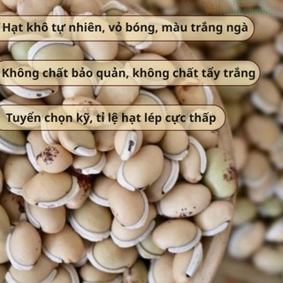 [500Gr] Đậu Ván Thuần Việt Hồn Quảng - Đậu Mùa Mới, Không Chất Bảo Quản - Nấu Chè, Hầm Cháo, Nhanh Mềm