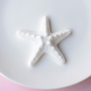 Set Charm Ocean Star Sea – Sao Biển Vỏ Sò Xanh Trong Suốt Phong Cách Mùa Hè Dịu Mát Trang Trí Dép Xinh Xắn Cute