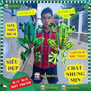 Thú bông ẾCH XANH 3D như thật rất đẹp - dùng làm quà tặng trang trí đồ chơi doll toy NGỌC SUSI