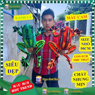 Gấu bông hình con ẾCH XANH 3D như thật rất đẹp - con ÉCH nhồi bông đồ chơi doll toy NGỌC SUSI