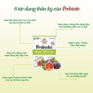 Trái Cây Khô Hữu Cơ Sunny Fruit Bổ Sung Prebiotic Tốt Cho Tiêu Hóa & Tái Tạo Hồng Cầu (Mơ/Sung) - Natural Market