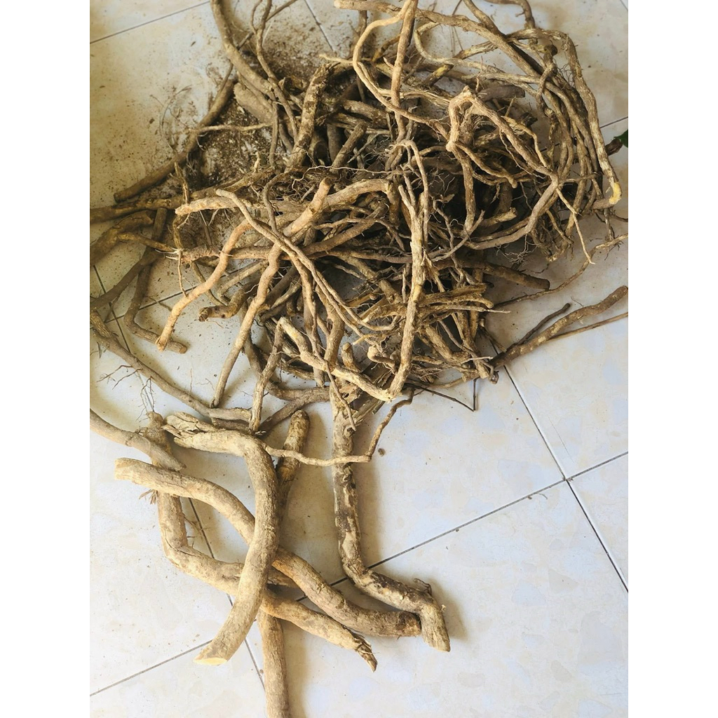 Xáo Tam Phân Khô Tây Bắc Loại Đẹp – Thảo Dược Tự Nhiên Hỗ Trợ Bồi Bổ Cơ Thể, Dùng Sắc Nước ,Ngâm Tửu 1kg