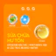 Tinh Chất Booster 2.0 G.G.G Chứa 60% Nấm Quý Chaga - Cấp Ẩm, Kháng Viêm Làm Dịu Da, Phục Hồi Chuyên Sâu 50ml