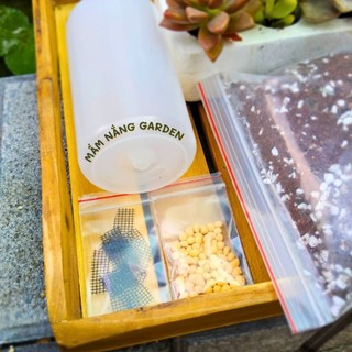 ​✨ Combo 10 Sen Đá Vỉ Mix Loại Ngẫu Nhiên [Size 4-5cm] - Tặng Phân Bón Béo Mầm - MẦM NẮNG GARDEN ✨
