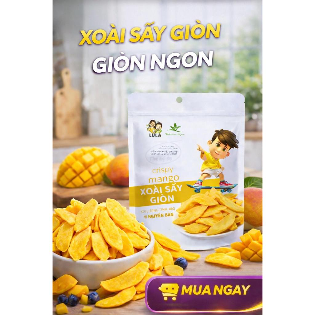 Xoài sấy giòn Wakamono Organic (40gam/gói) công nghệ sấy thăng hoa, sấy từ hoa xoài tươi