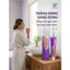 Kem đánh răng KISSFUN Purple | Xóa ố vàng - Thơm miệng - Bảo vệ men răng