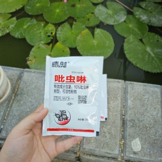 ​✨ Gói Bột Vệ Sinh Rễ & Bảo Vệ Lá Chuyên Dụng [20g] - Làm Sạch Mầm Bệnh Cho Sen Đá & Xương Rồng - MẦM NẮNG GARDEN ✨