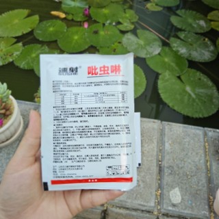 ​✨ Gói Bột Vệ Sinh Rễ & Bảo Vệ Lá Chuyên Dụng [20g] - Làm Sạch Mầm Bệnh Cho Sen Đá & Xương Rồng - MẦM NẮNG GARDEN ✨