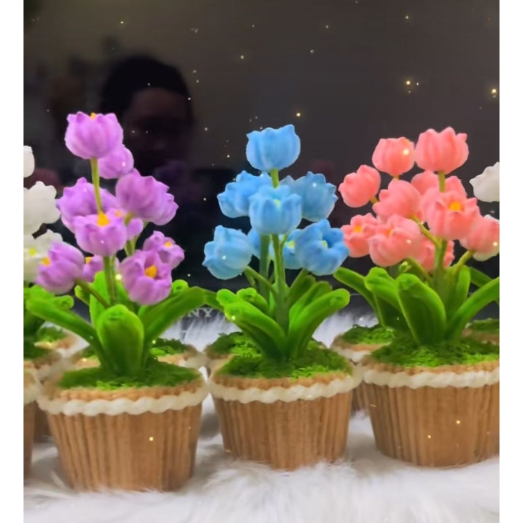 Set Nguyên Liệu Tự Làm Chậu Hoa Kẽm Nhung