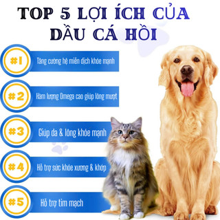 DẦU CÁ HỒI ALASKA OIMMAL 250ML – OMEGA 3-6 GIÚP ĐẸP LÔNG, TỐT KHỚP CHO CHÓ MÈO