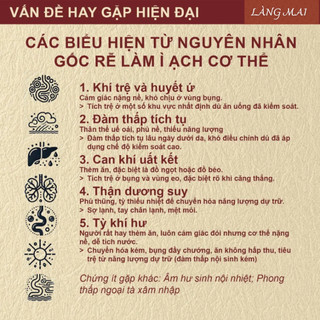 [ Túi zip ] Trà Tiêu Thực ( Tiêu Mỡ ) - Thanh nhẹ cơ thể - giảm tích trệ bụng, eo, giúp nhẹ bụng dễ tiêu.