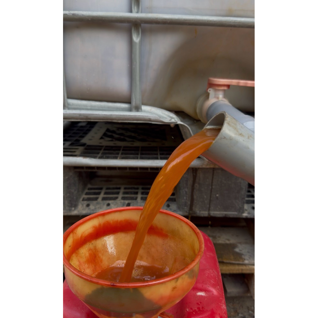 1L Chế Phẩm Nấm Ba Màu Sinh Học – Beauveria + Metarhizium + Paecilomyces – Hỗ Trợ Kiểm Soát Sâu Hại, Bảo Vệ Cây Trồng
